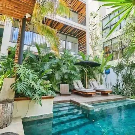 Amazing ! Cute ! Cozy ! Apartment